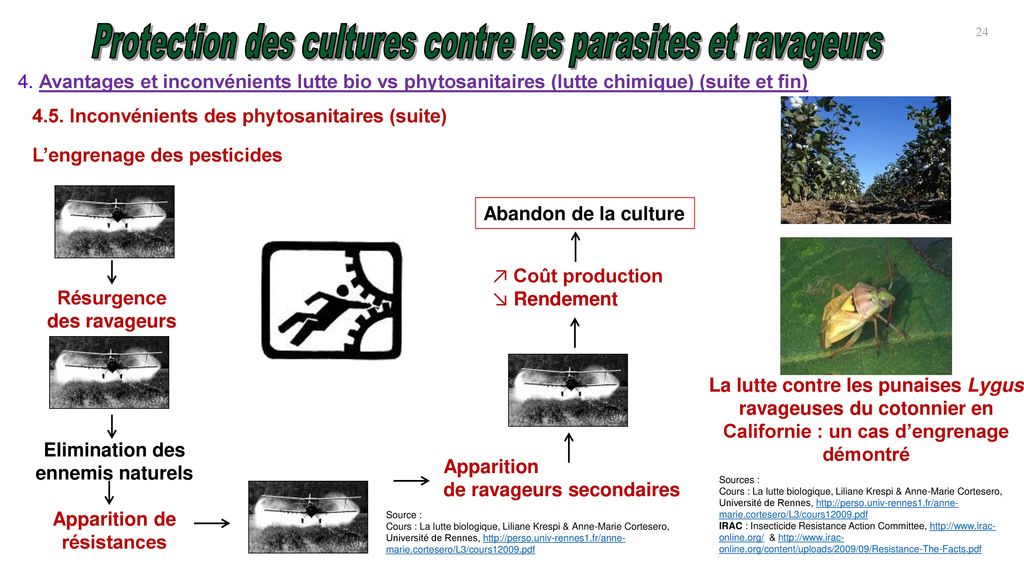 Protection Des Cultures Contre Les Parasites Et Ravageurs Sans